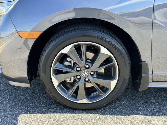 2024 Honda Odyssey Elite