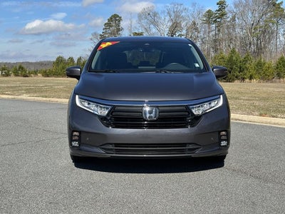 2024 Honda Odyssey Elite