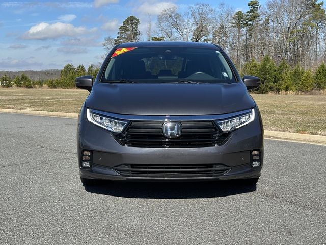 2024 Honda Odyssey Elite