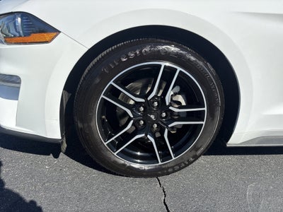 2023 Ford Mustang EcoBoost