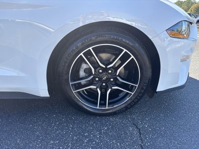 2023 Ford Mustang EcoBoost